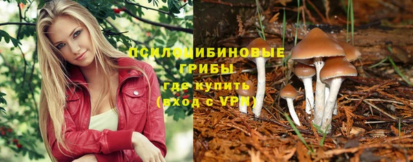 MESCALINE Гусь-Хрустальный