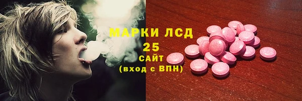 мяу мяу мука Дмитриев